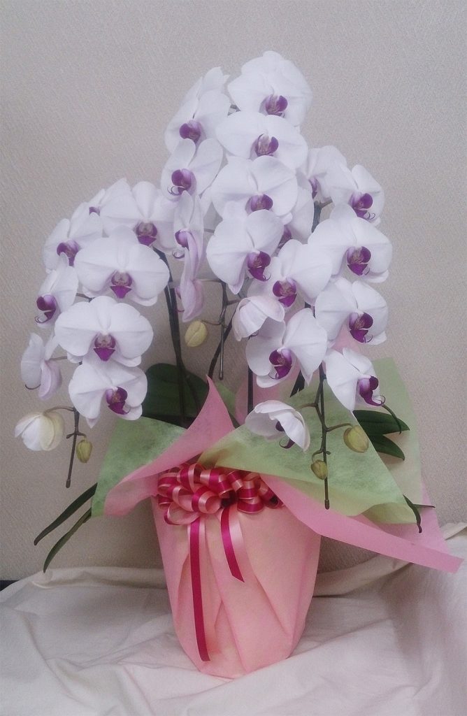 ベレコは創業25周年を迎えました