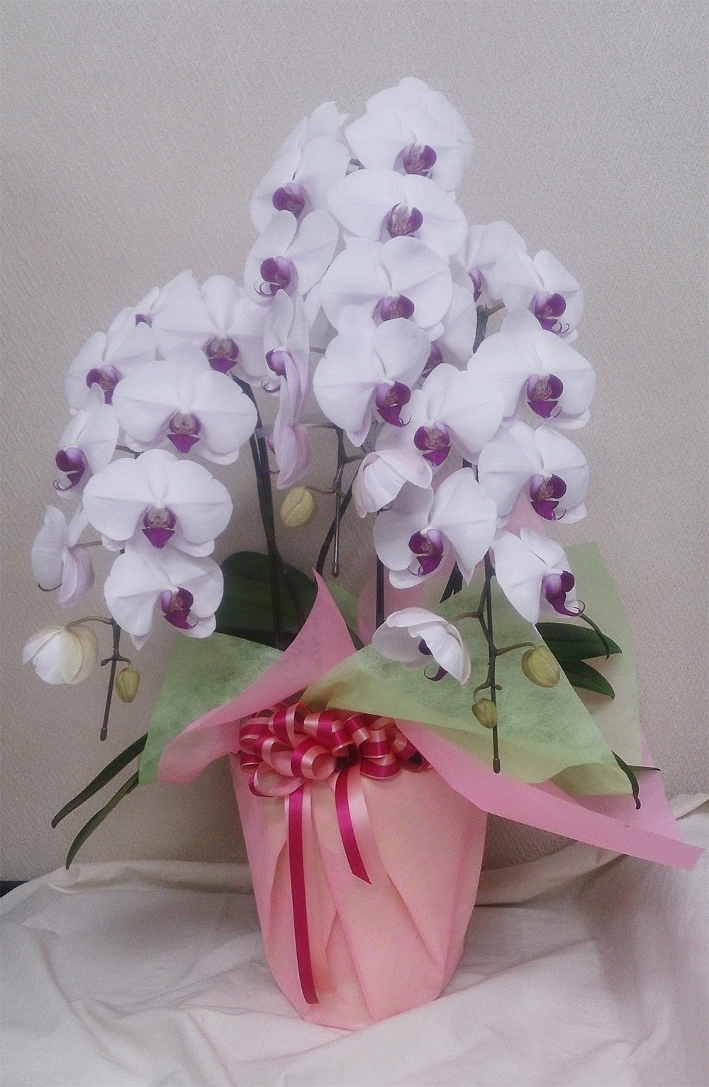 ベレコは創業25周年を迎えました